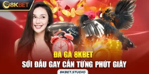 Đá gà 8kbet - Sới đấu gay cấn từng phút giây