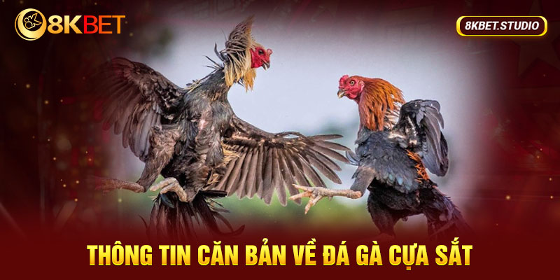 Tìm hiểu về đá gà cựa sắt